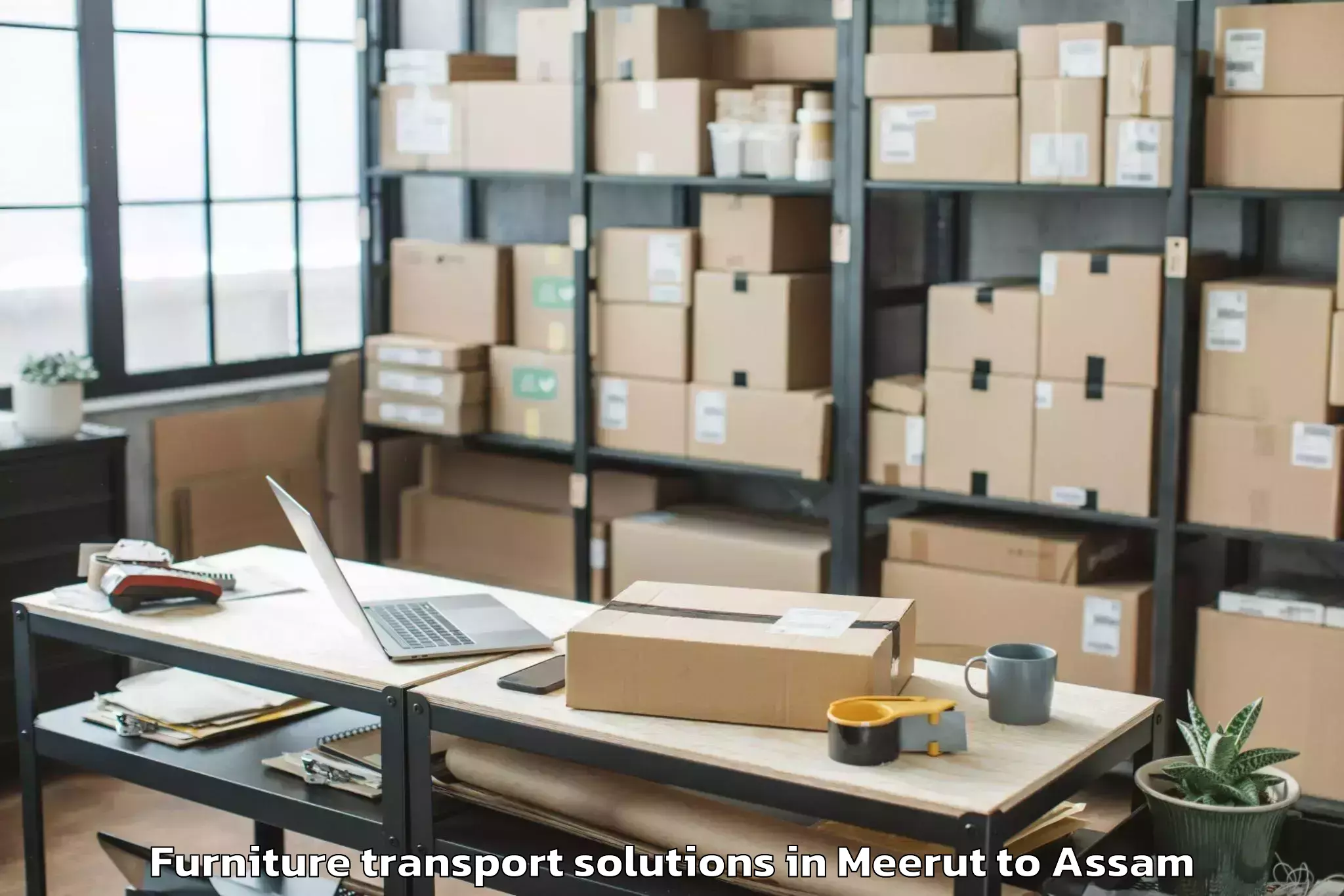 Affordable Meerut to Khoirabari Pt Furniture Transport Solutions